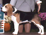 Mo_Hatboro_1.gif (128106 bytes)