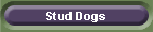 Stud Dogs