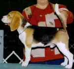 barry_6mth.jpg (17696 bytes)
