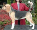 jane_1117.jpg (388568 bytes)