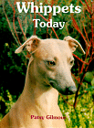 whippet_gilmour.gif (16602 bytes)